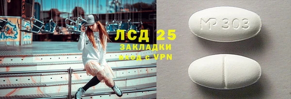 прущие грибы Переславль-Залесский