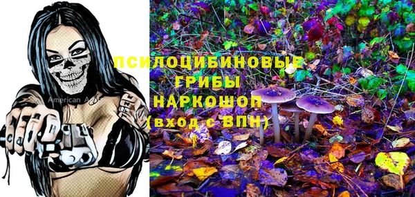 2c-b Осинники