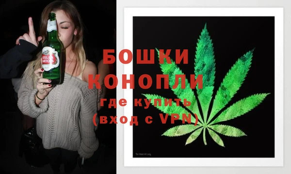 прущие грибы Переславль-Залесский