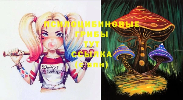 2c-b Осинники