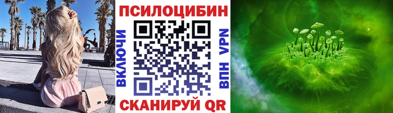 Галлюциногенные грибы Cubensis  Торопец 